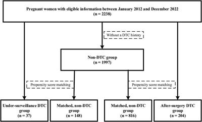 Differentiated thyroid cancer and adverse pregnancy outcomes: a propensity score-matched retrospective cohort study